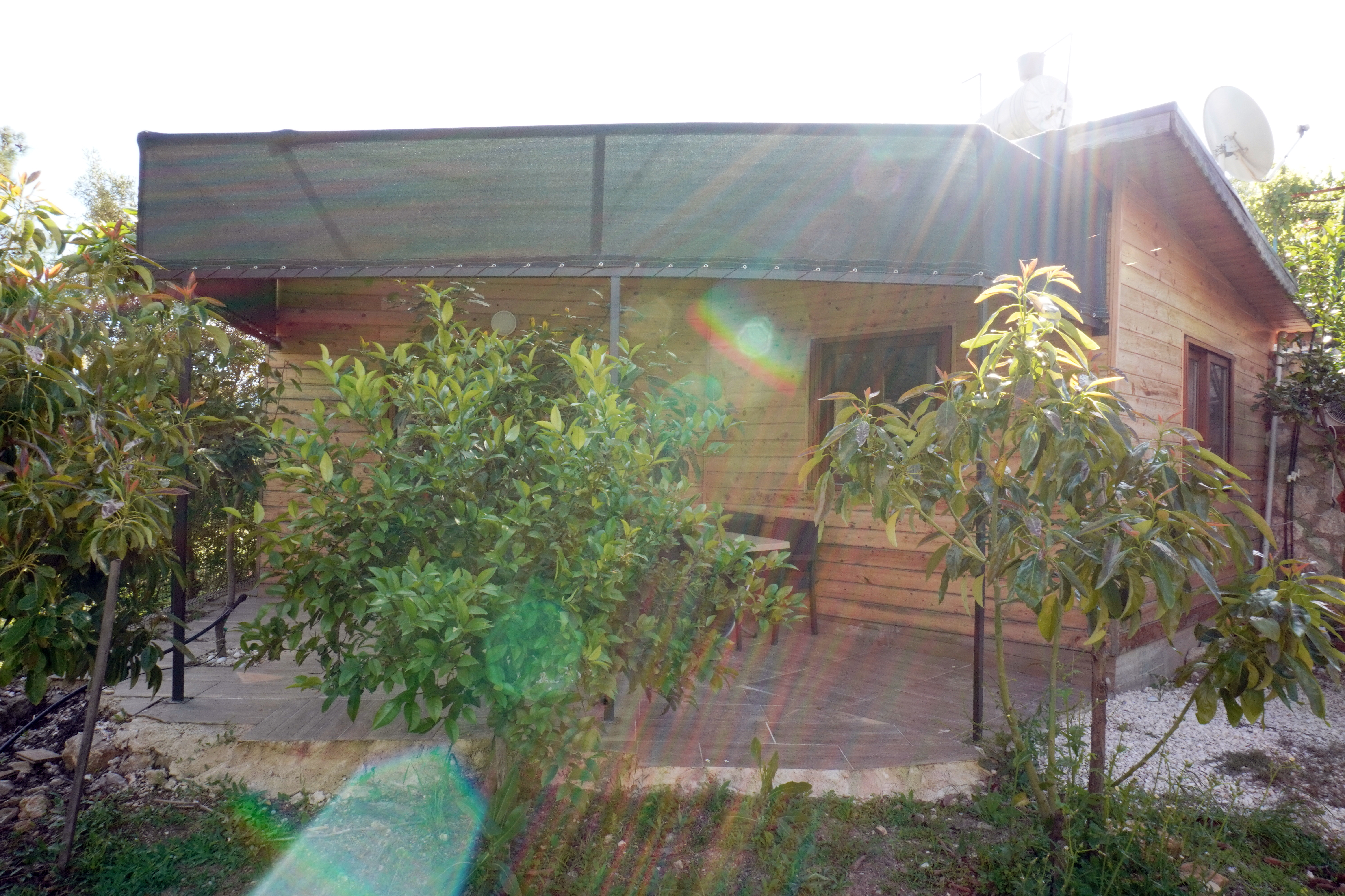 Biik 1 - Manzara